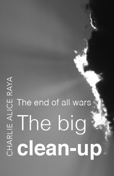 cover, the big clean-up